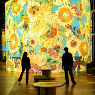 Van Gogh: The Immersive Experience 5